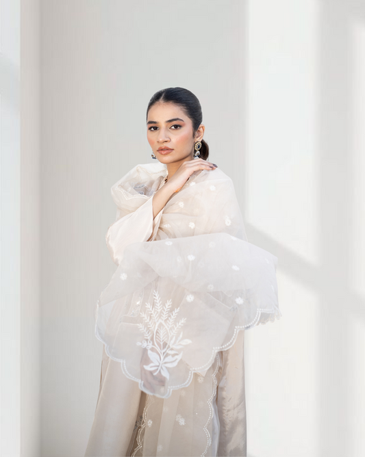 Amira